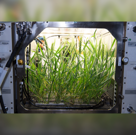 NASA Backs Research Efforts in Spaceflight-Based Agriculture Systems