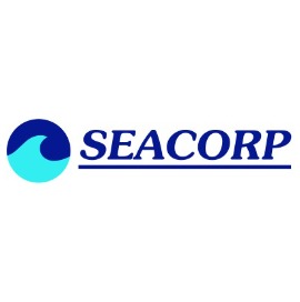 SEACORP Receives $14.1M WAF Engineering and Technical Services; Bill Blackburn Quoted
