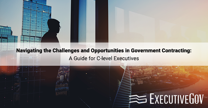 Navigating the Challenges and Opportunities in Government Contracting: A Guide for C-level Executives