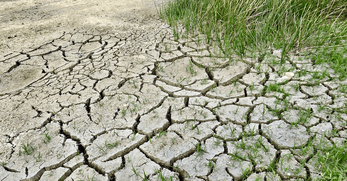 NASA Launches Challenge for Climate Resilience